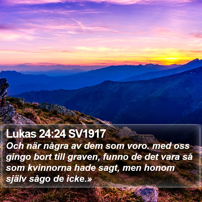 Lukas 24:24 SV1917 Bible Study