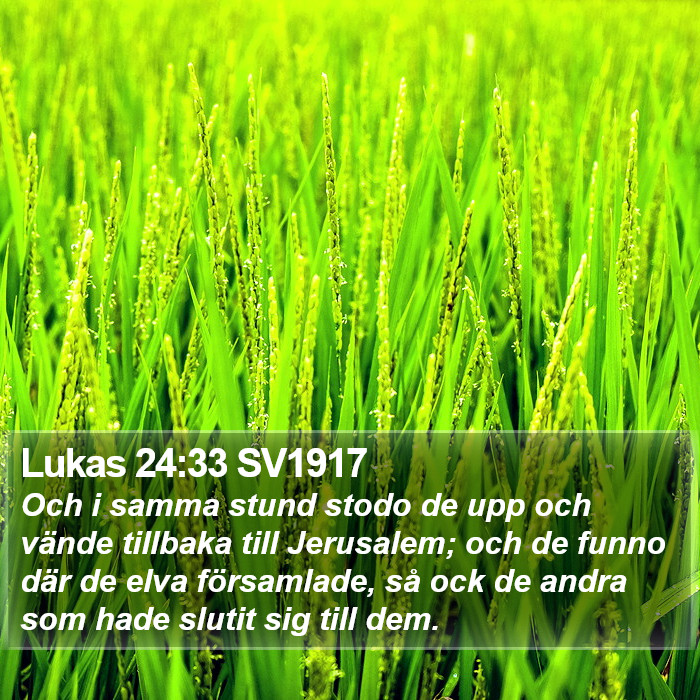 Lukas 24:33 SV1917 Bible Study