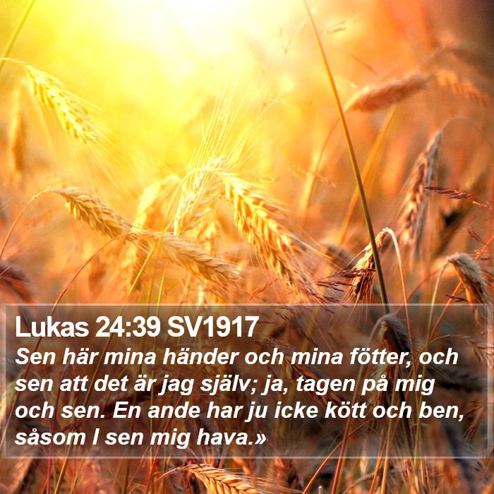 Lukas 24:39 SV1917 Bible Study