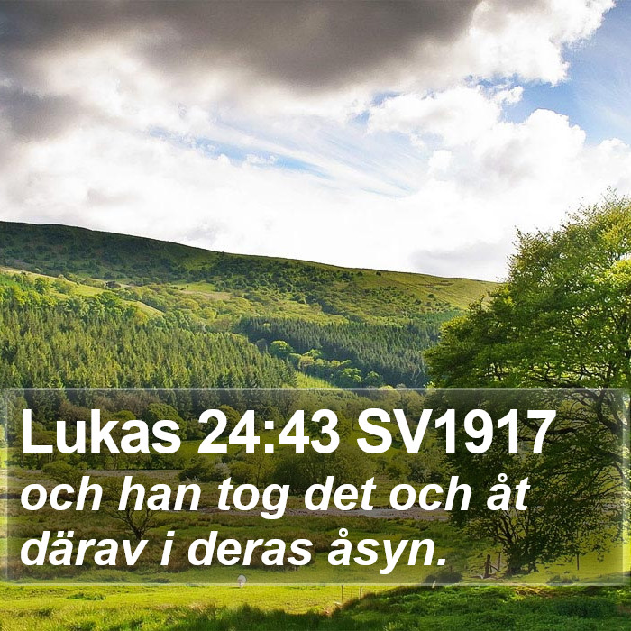 Lukas 24:43 SV1917 Bible Study