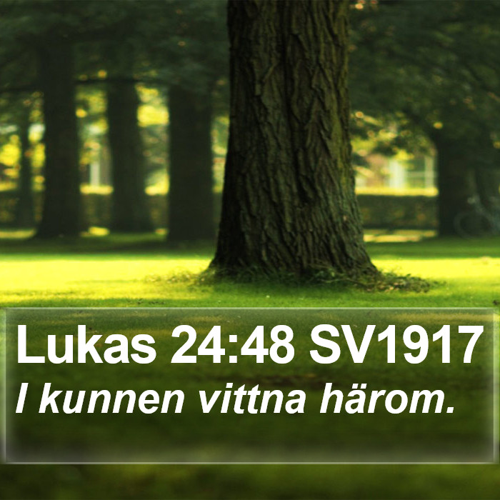 Lukas 24:48 SV1917 Bible Study