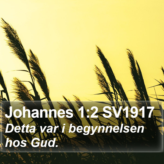 Johannes 1:2 SV1917 Bible Study