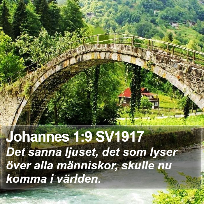 Johannes 1:9 SV1917 Bible Study