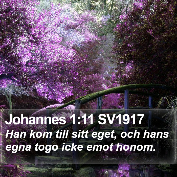 Johannes 1:11 SV1917 Bible Study