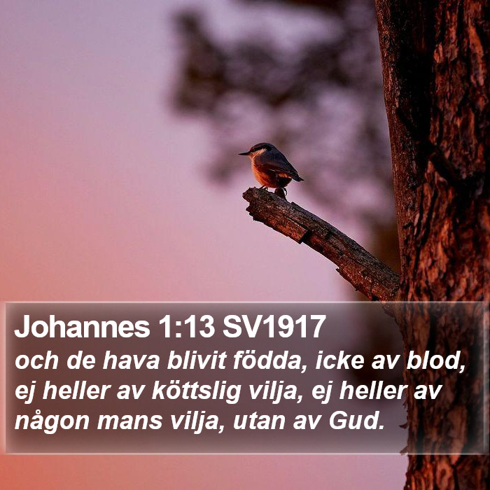 Johannes 1:13 SV1917 Bible Study