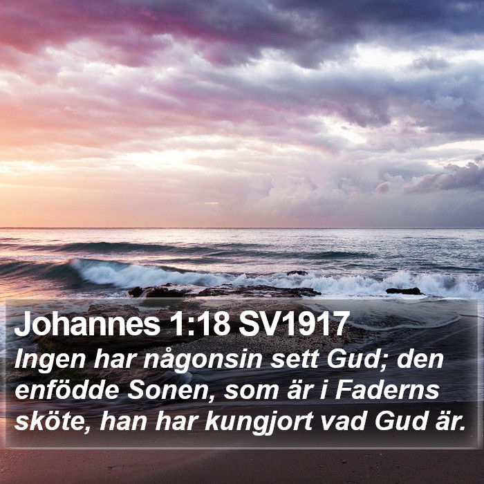 Johannes 1:18 SV1917 Bible Study