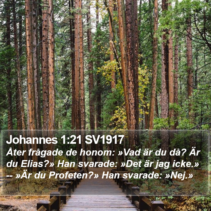 Johannes 1:21 SV1917 Bible Study