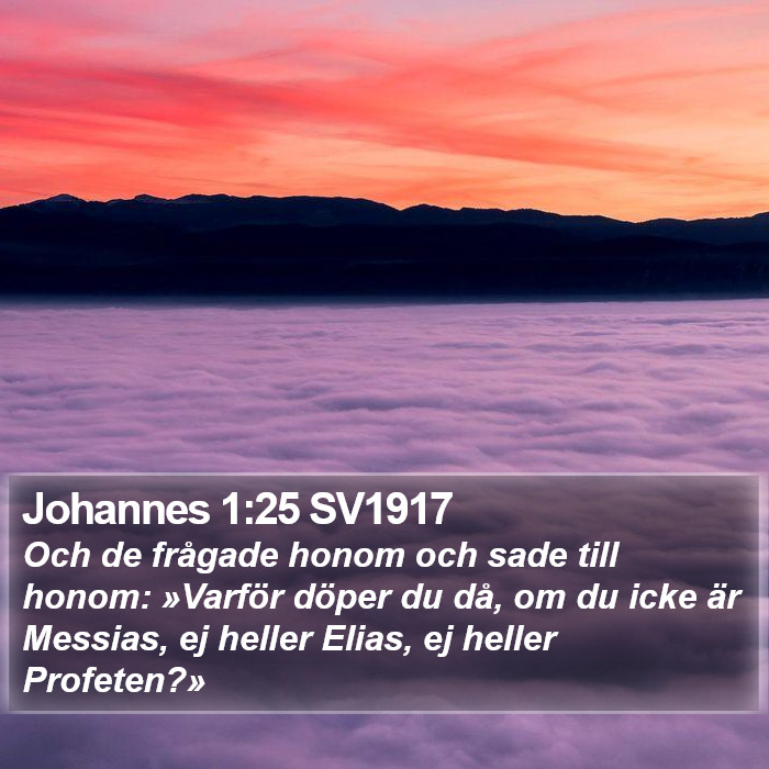 Johannes 1:25 SV1917 Bible Study