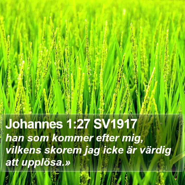 Johannes 1:27 SV1917 Bible Study