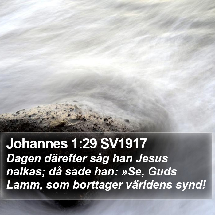 Johannes 1:29 SV1917 Bible Study