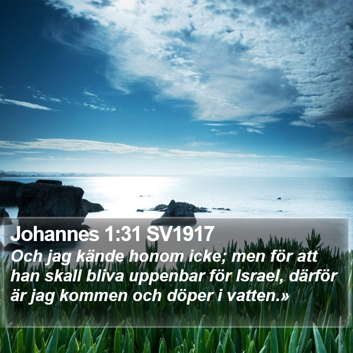 Johannes 1:31 SV1917 Bible Study