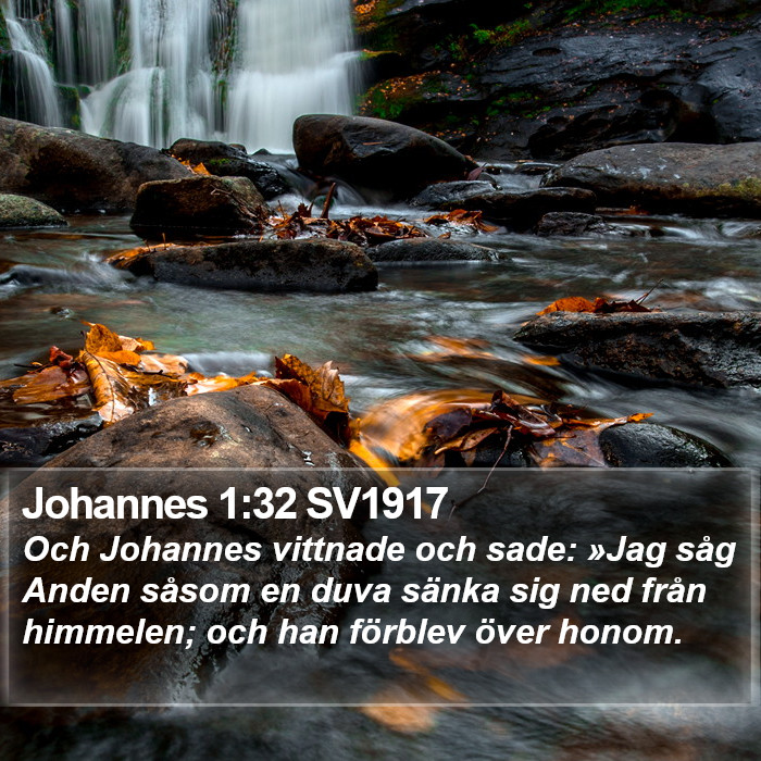 Johannes 1:32 SV1917 Bible Study