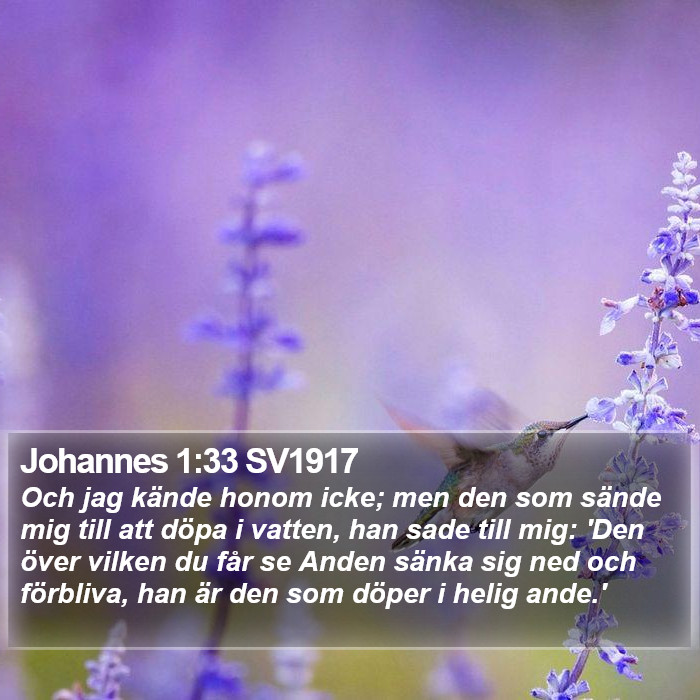 Johannes 1:33 SV1917 Bible Study