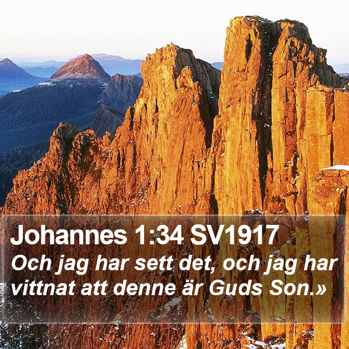 Johannes 1:34 SV1917 Bible Study