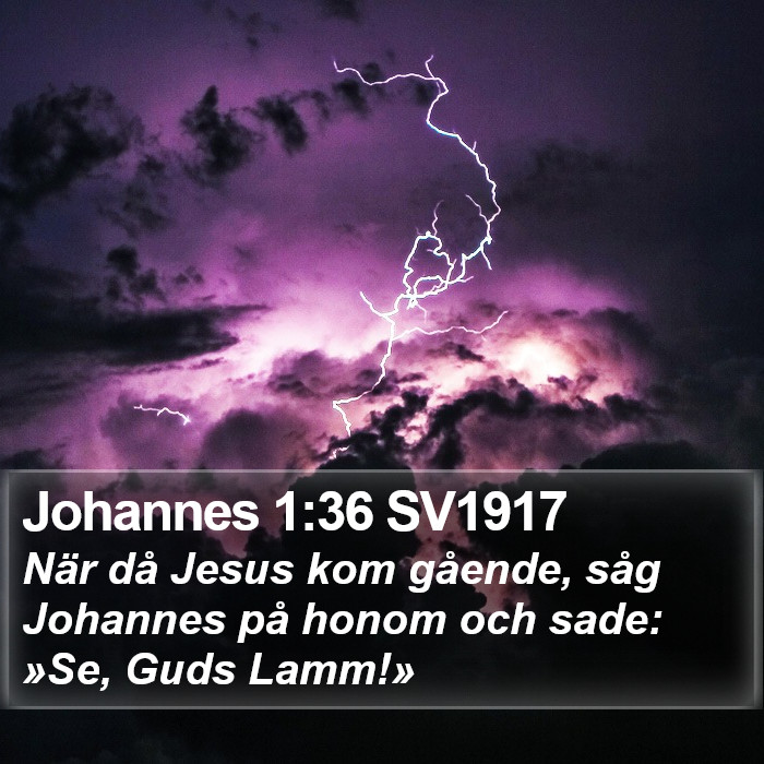 Johannes 1:36 SV1917 Bible Study