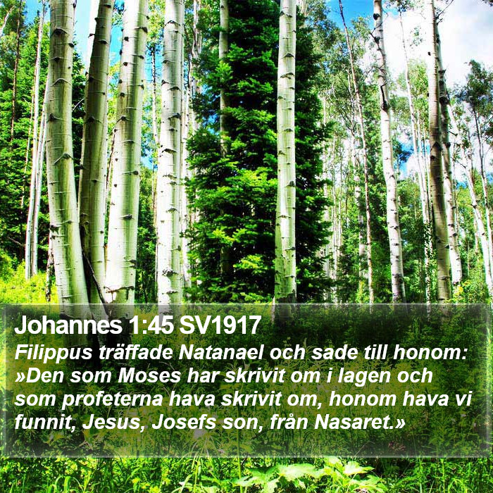 Johannes 1:45 SV1917 Bible Study