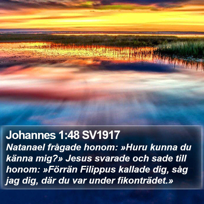 Johannes 1:48 SV1917 Bible Study