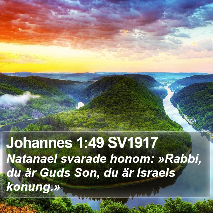 Johannes 1:49 SV1917 Bible Study