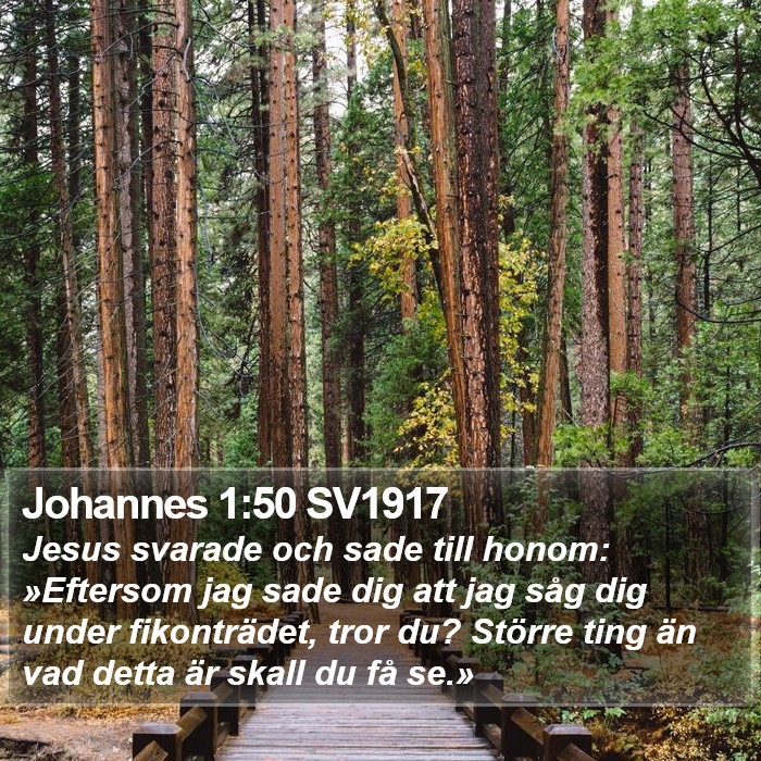 Johannes 1:50 SV1917 Bible Study