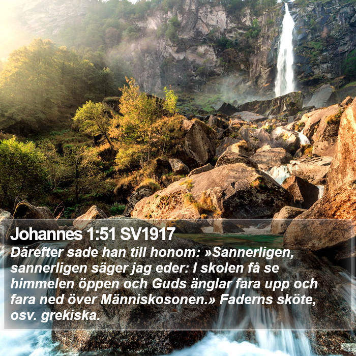 Johannes 1:51 SV1917 Bible Study