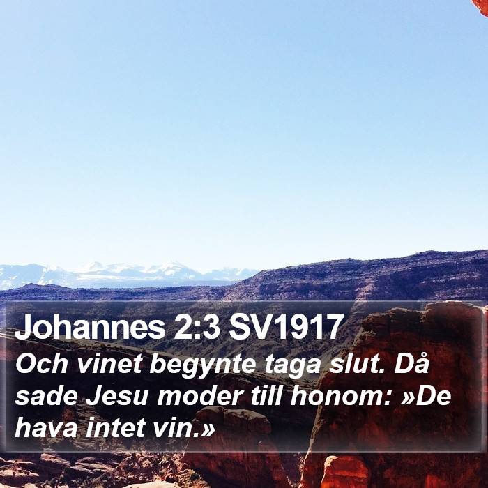 Johannes 2:3 SV1917 Bible Study