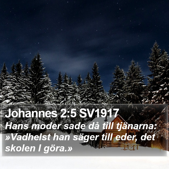 Johannes 2:5 SV1917 Bible Study