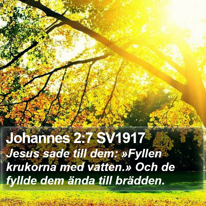 Johannes 2:7 SV1917 Bible Study