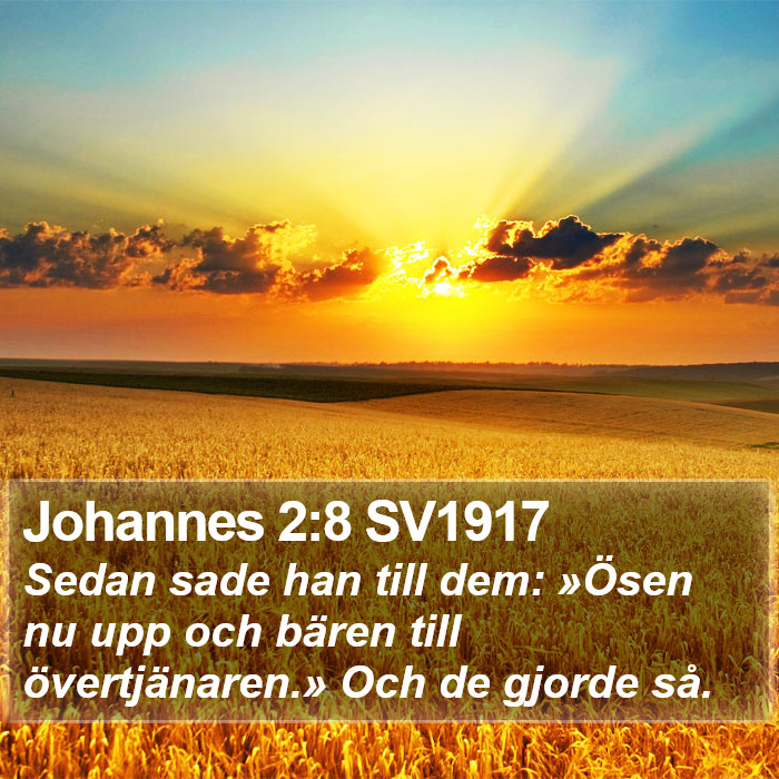 Johannes 2:8 SV1917 Bible Study