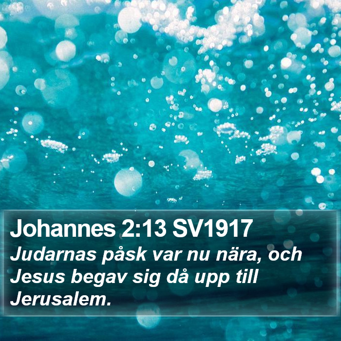 Johannes 2:13 SV1917 Bible Study