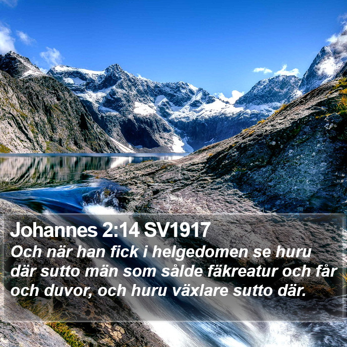 Johannes 2:14 SV1917 Bible Study