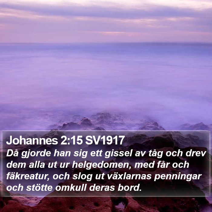 Johannes 2:15 SV1917 Bible Study