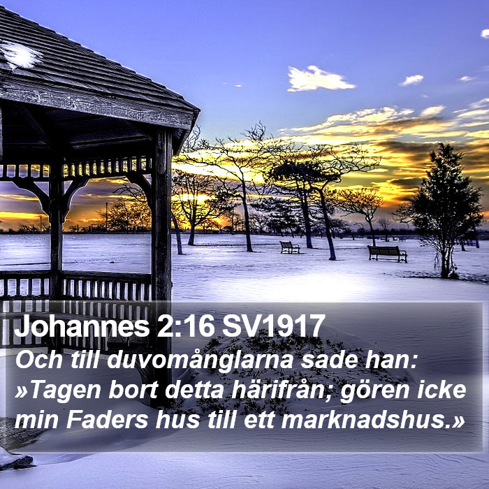 Johannes 2:16 SV1917 Bible Study