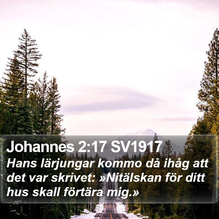 Johannes 2:17 SV1917 Bible Study