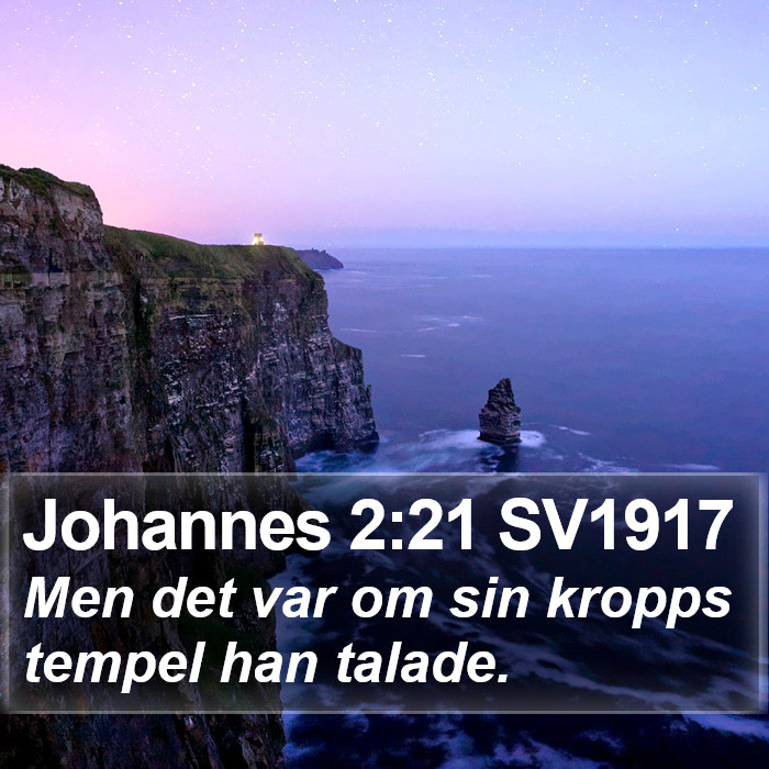 Johannes 2:21 SV1917 Bible Study