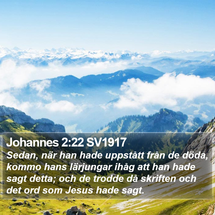 Johannes 2:22 SV1917 Bible Study