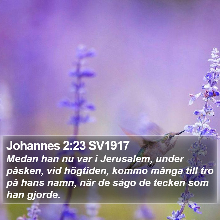 Johannes 2:23 SV1917 Bible Study