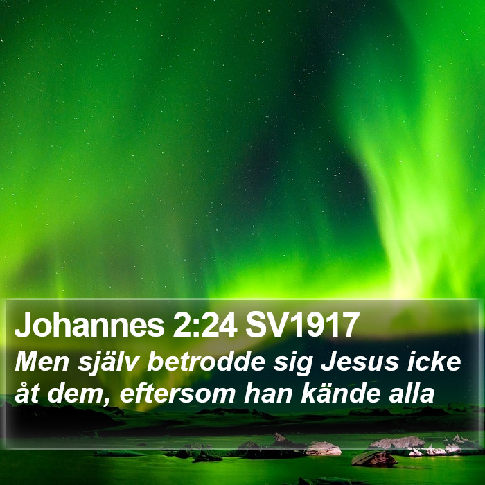 Johannes 2:24 SV1917 Bible Study