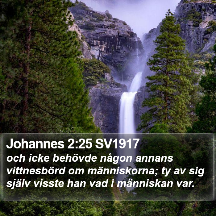 Johannes 2:25 SV1917 Bible Study