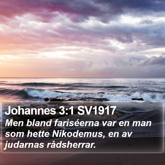 Johannes 3:1 SV1917 Bible Study