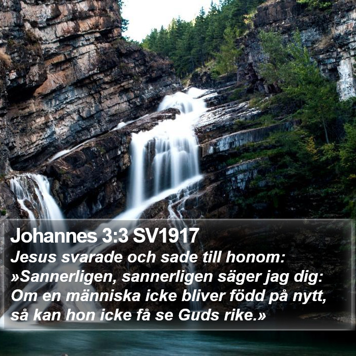 Johannes 3:3 SV1917 Bible Study