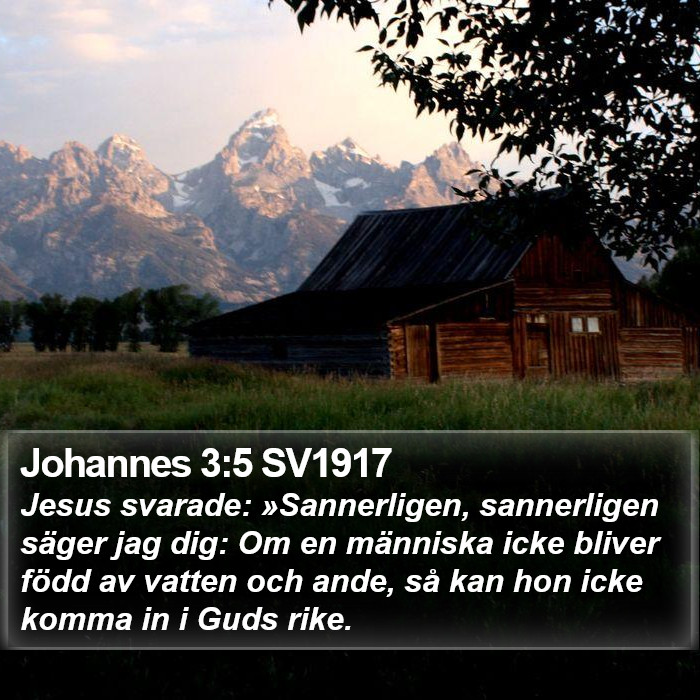 Johannes 3:5 SV1917 Bible Study