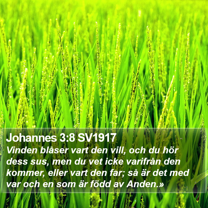 Johannes 3:8 SV1917 Bible Study