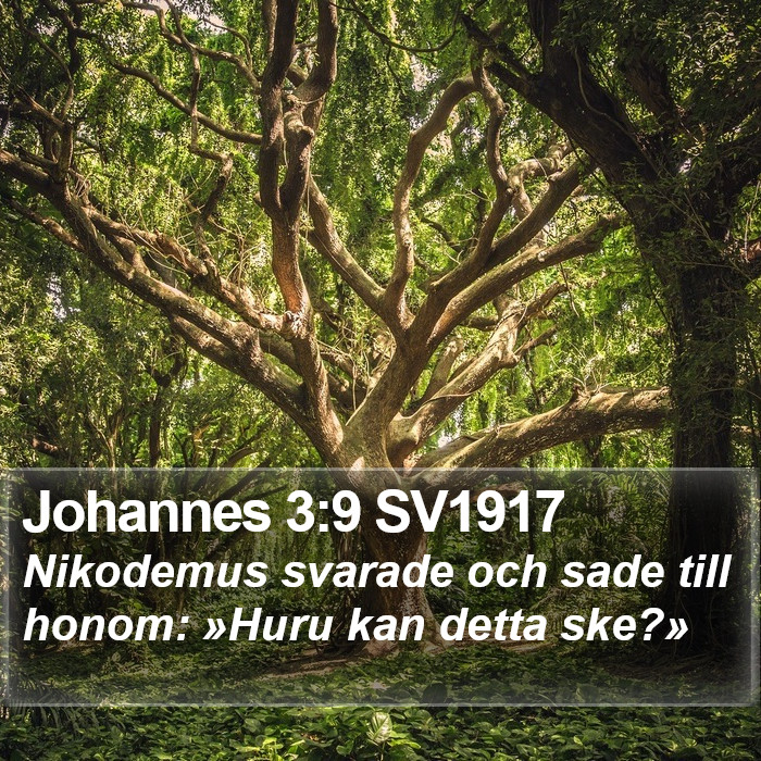 Johannes 3:9 SV1917 Bible Study