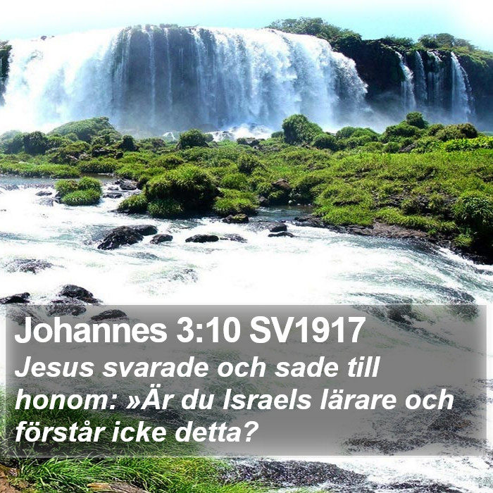 Johannes 3:10 SV1917 Bible Study