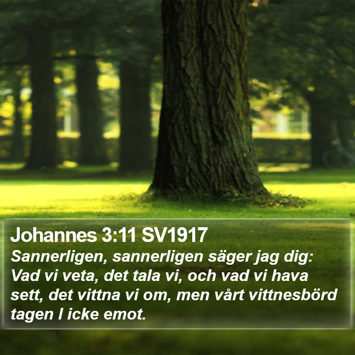 Johannes 3:11 SV1917 Bible Study