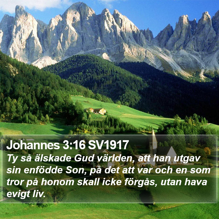 Johannes 3:16 SV1917 Bible Study