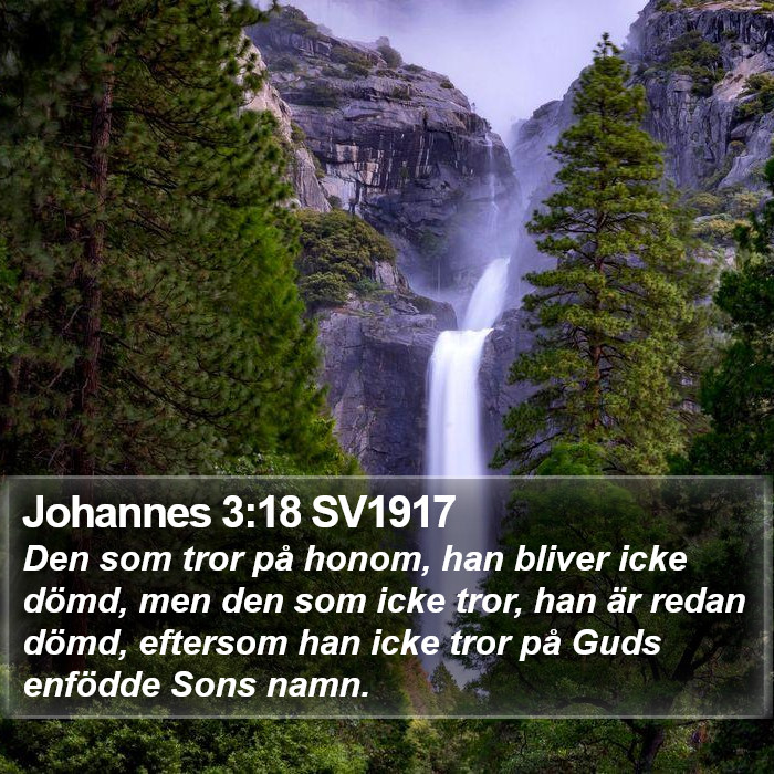 Johannes 3:18 SV1917 Bible Study