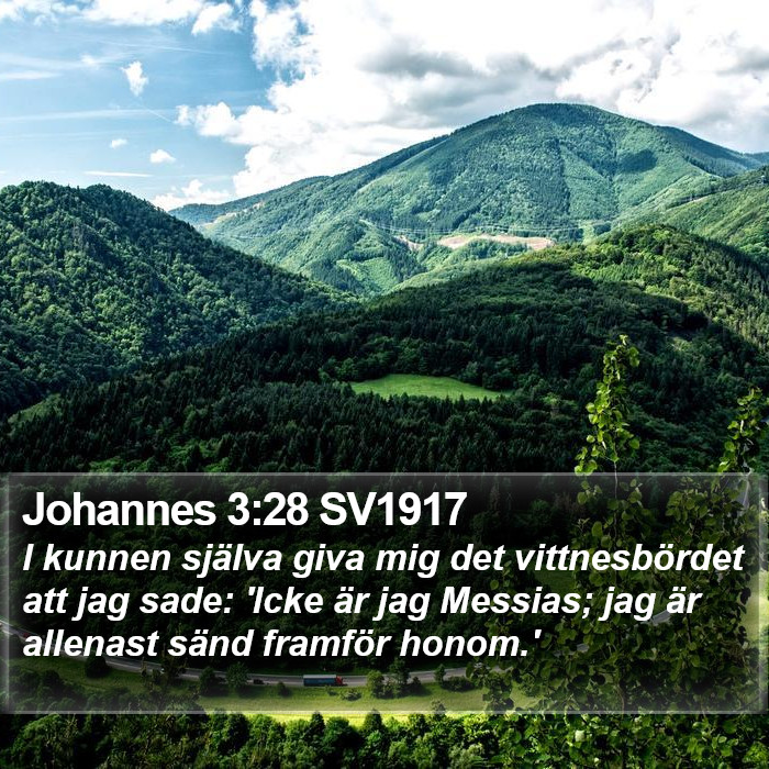 Johannes 3:28 SV1917 Bible Study