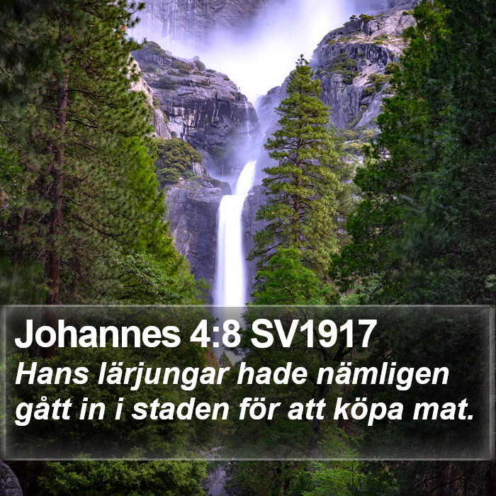 Johannes 4:8 SV1917 Bible Study