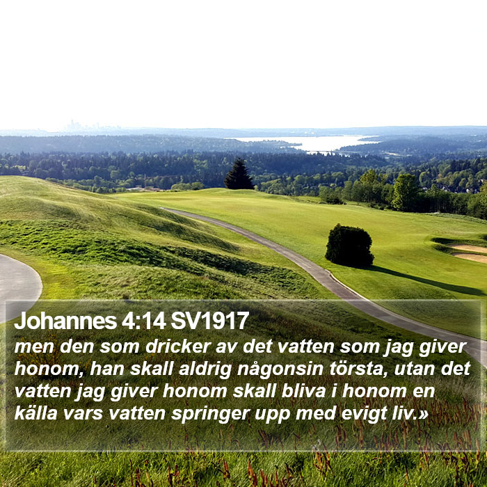 Johannes 4:14 SV1917 Bible Study